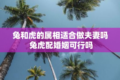 兔和虎的属相适合做夫妻吗 兔虎配婚姻可行吗