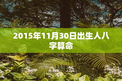 2015年11月30日出生人八字算命