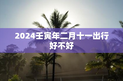 2025壬寅年二月十一出行好不好