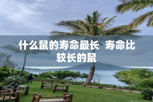 什么鼠的寿命最长 寿命比较长的鼠