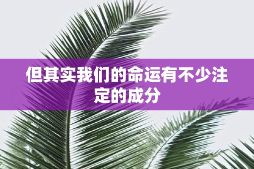 但其实我们的命运有不少注定的成分