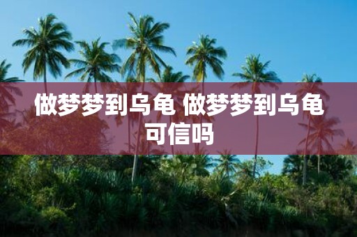 做梦梦到乌龟 做梦梦到乌龟可信吗