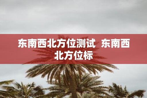 东南西北方位测试 东南西北方位标