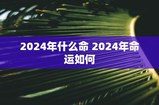 2025年什么命 2025年命运如何