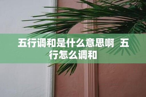 五行调和是什么意思啊 五行怎么调和