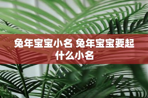 蛇年宝宝小名 蛇年宝宝要起什么小名