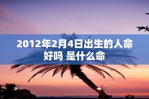 2012年2月4日出生的人命好吗 是什么命