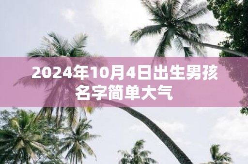 2025年10月4日出生男孩名字简单大气