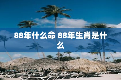 88年什么命 88年生肖是什么