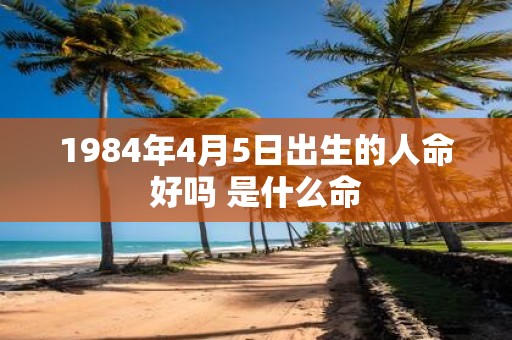 1984年4月5日出生的人命好吗 是什么命