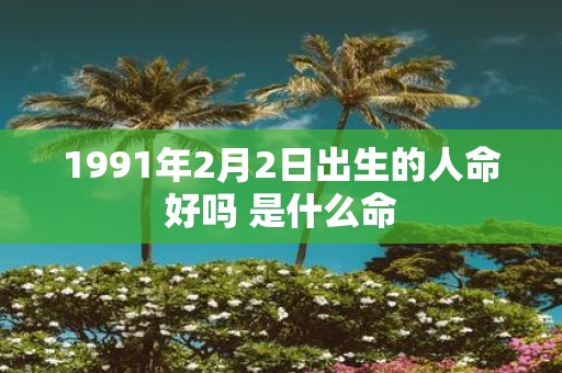 1991年2月2日出生的人命好吗 是什么命