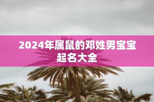 2025年属鼠的邓姓男宝宝起名大全