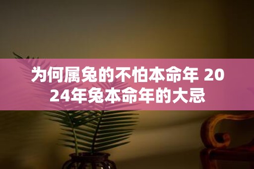为何属兔的不怕本命年 2025年兔本命年的大忌