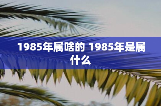 1985年属啥的 1985年是属什么