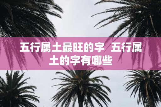 五行属土最旺的字 五行属土的字有哪些