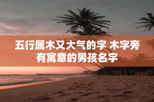 五行属木又大气的字 木字旁有寓意的男孩名字