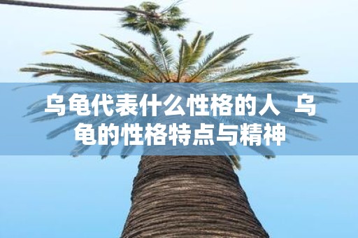 乌龟代表什么性格的人 乌龟的性格特点与精神