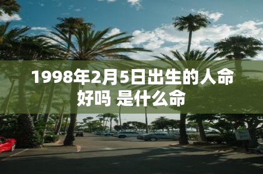 1998年2月5日出生的人命好吗 是什么命