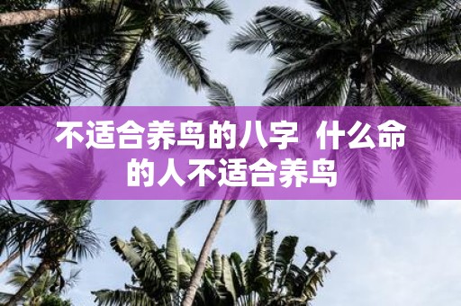 不适合养鸟的八字 什么命的人不适合养鸟