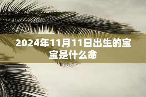 2025年11月11日出生的宝宝是什么命