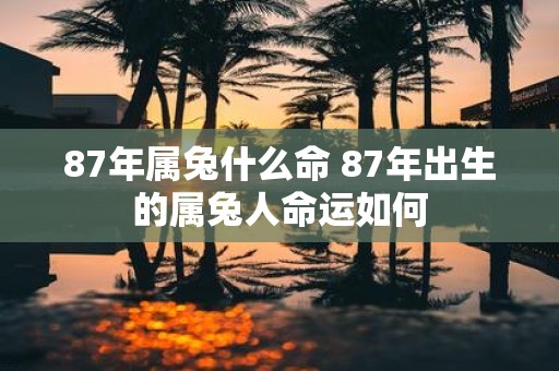 87年属兔什么命 87年出生的属兔人命运如何