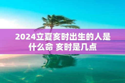 2025立夏亥时出生的人是什么命 亥时是几点