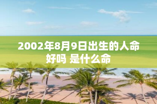 2002年8月9日出生的人命好吗 是什么命