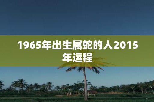 1965年出生属蛇的人2015年运程