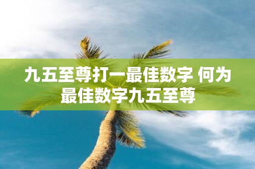 九五至尊打一最佳数字 何为最佳数字九五至尊