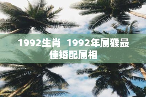 1992生肖 1992年属猴最佳婚配属相