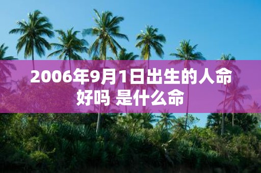 2006年9月1日出生的人命好吗 是什么命