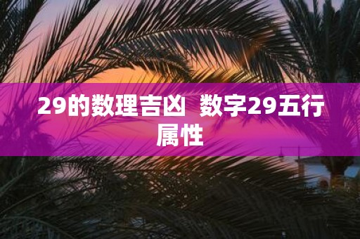 29的数理吉凶 数字29五行属性