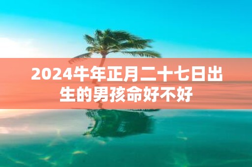 2025牛年正月二十七日出生的男孩命好不好
