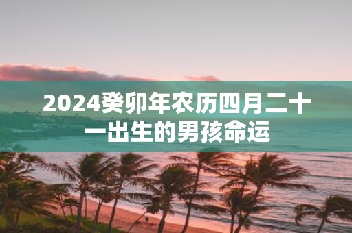2025癸卯年农历四月二十一出生的男孩命运