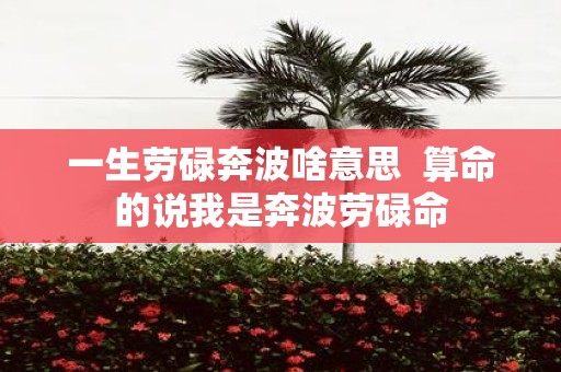 一生劳碌奔波啥意思 算命的说我是奔波劳碌命