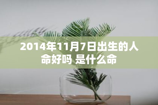2014年11月7日出生的人命好吗 是什么命