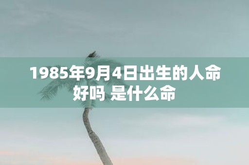 1985年9月4日出生的人命好吗 是什么命