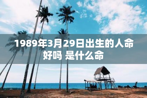 1989年3月29日出生的人命好吗 是什么命