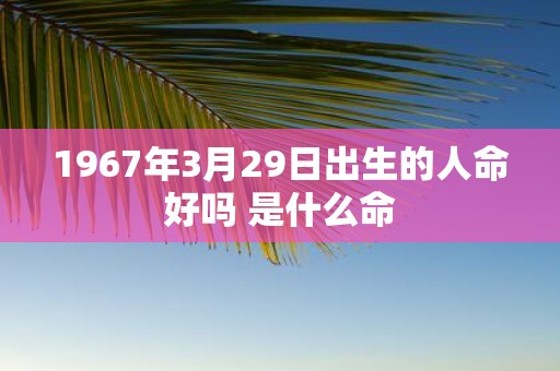 1967年3月29日出生的人命好吗 是什么命