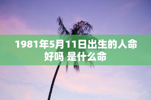 1981年5月11日出生的人命好吗 是什么命