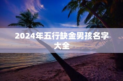2025年五行缺金男孩名字大全