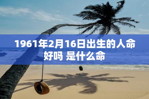 1961年2月16日出生的人命好吗 是什么命
