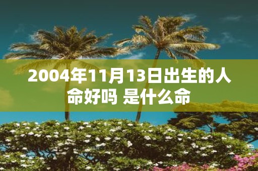 2004年11月13日出生的人命好吗 是什么命