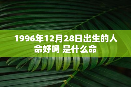 1996年12月28日出生的人命好吗 是什么命