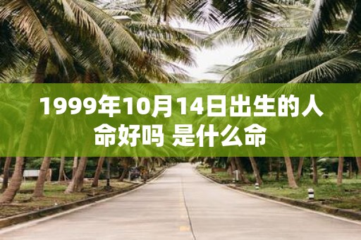 1999年10月14日出生的人命好吗 是什么命