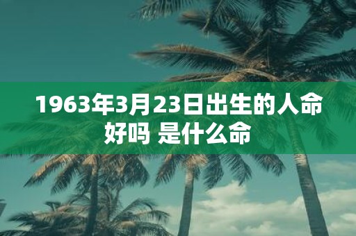 1963年3月23日出生的人命好吗 是什么命