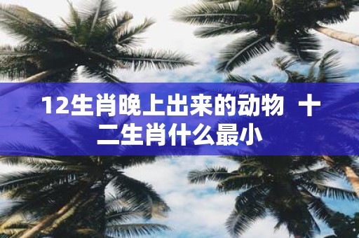 12生肖晚上出来的动物 十二生肖什么最小