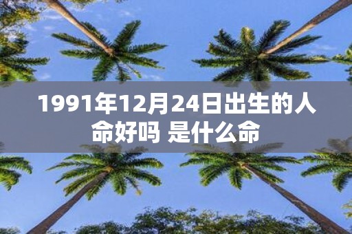 1991年12月24日出生的人命好吗 是什么命
