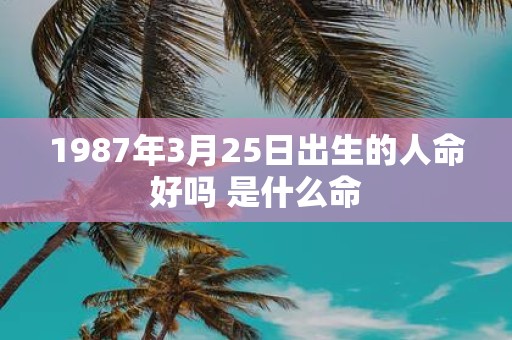 1987年3月25日出生的人命好吗 是什么命