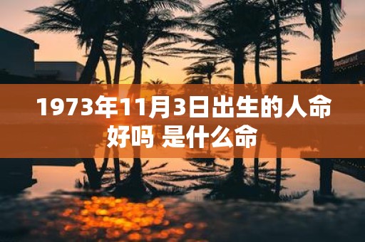 1973年11月3日出生的人命好吗 是什么命